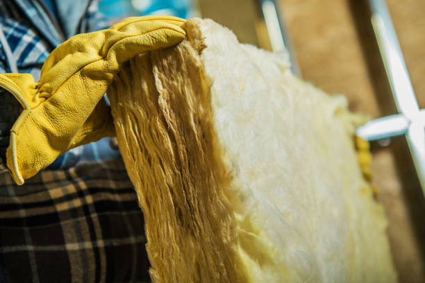 Best Eco-Friendly Insulation in Cornell, WI